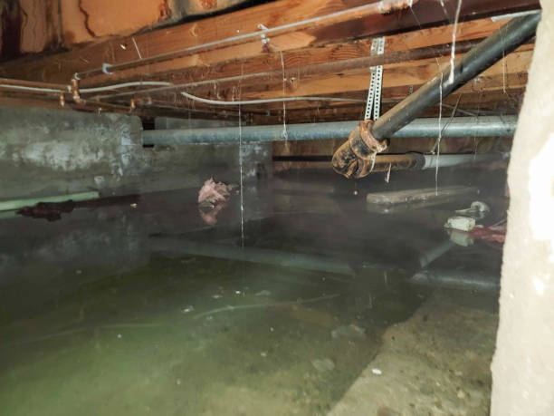 Reliable HI Water damage restoration Solutions