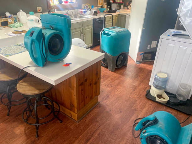 Best Carpet water damage restoration  in Kailua, HI