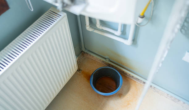 Best Flood restoration services  in Kailua, HI