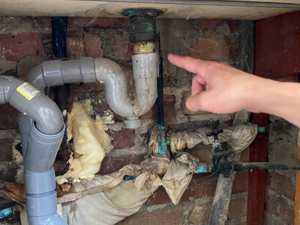 Best Ceiling water damage repair  in Kailua, HI