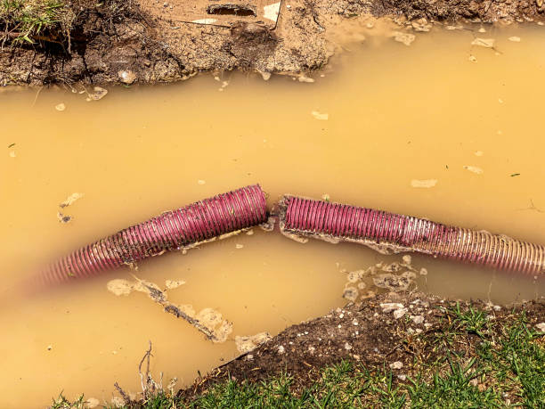 Best Basement water damage restoration  in Kailua, HI