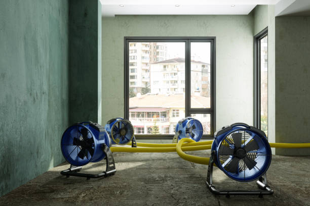 Best 24/7 water damage repair  in Kailua, HI