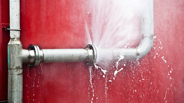 Best Professional water damage repair  in Kailua, HI